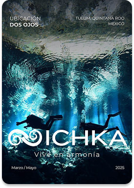 Brochure Cover